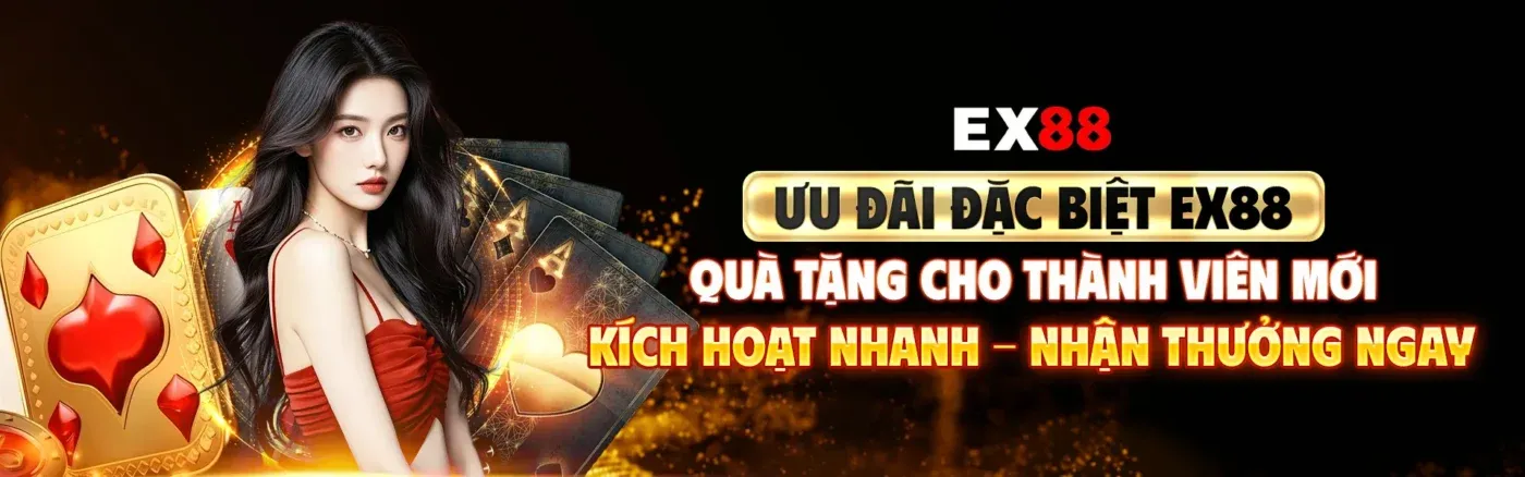 banner EX88